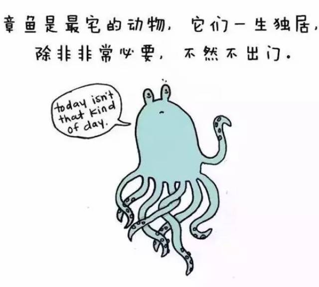 99%的人都不生存的30个动物冷蚊子!地方窝改在什么知识知道图片