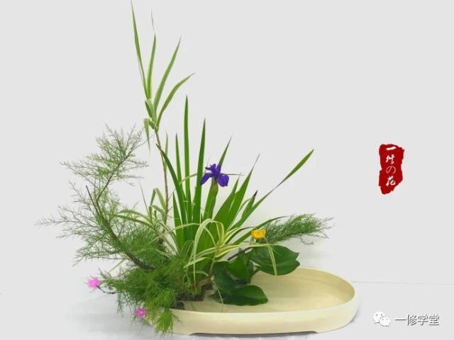 小原流插花 || 入门课花意匠 花型图案例