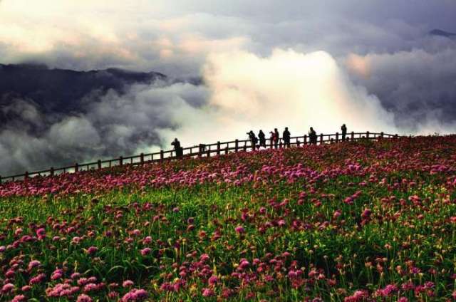 坐标:贵州毕节市赫章县大韭菜坪一,贵州·大韭菜坪今天青蛙旅行向各位