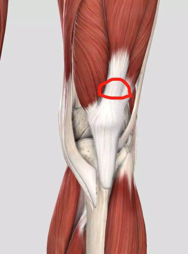 髌骨上面发酸,膝盖又有"小情绪"了?