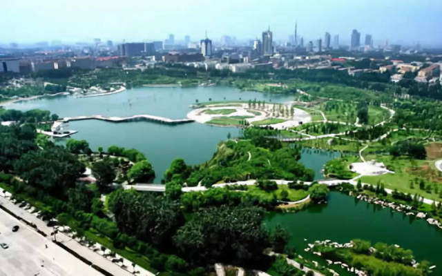 大名gdp_考夫曼大名鸽图片