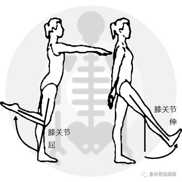 膝关节超伸不是膝的问题│身体使用指南