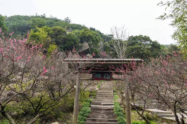 宁波北仑九峰山旅游区:青山,绿水,翠竹,钟声……这里尽有的.