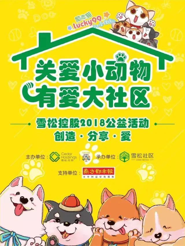 关爱小动物有爱大社区 | 一起喵喵喵喵喵