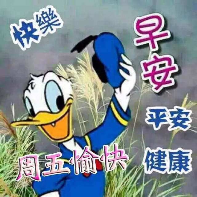 2018最新早上好表情动态图片大全 最美早上好带字动态