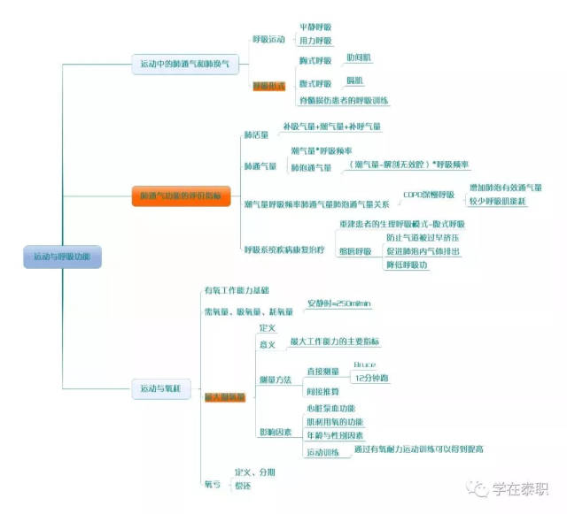 【康复干货】康复基础知识思维导图