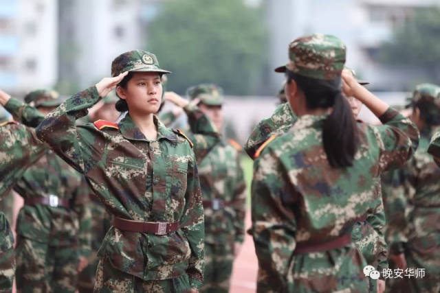 同一个动作,不停重复.稍息立正时,身体笔直;敬礼礼毕,眼神坚毅.