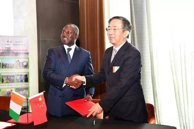 【钢结构·动态】中非合作论坛上，这些建筑央企的表现超级抢眼！