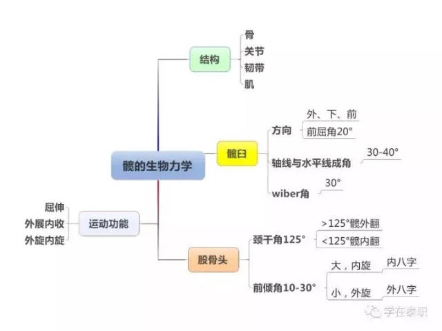 【康复干货】康复基础知识思维导图-健康频道-手机搜狐