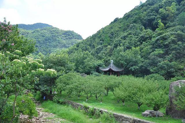 宁波北仑九峰山旅游区:青山,绿水,翠竹,钟声……这里尽有的.