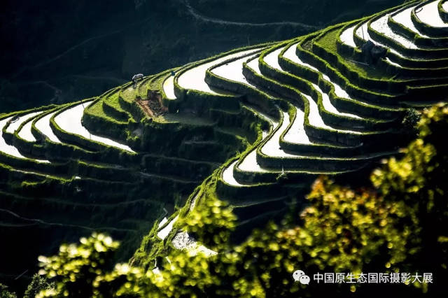 加鸠梯田 张赶生摄 贵州的加榜,摆榜,堂安等 都是令人向往的梯田圣地