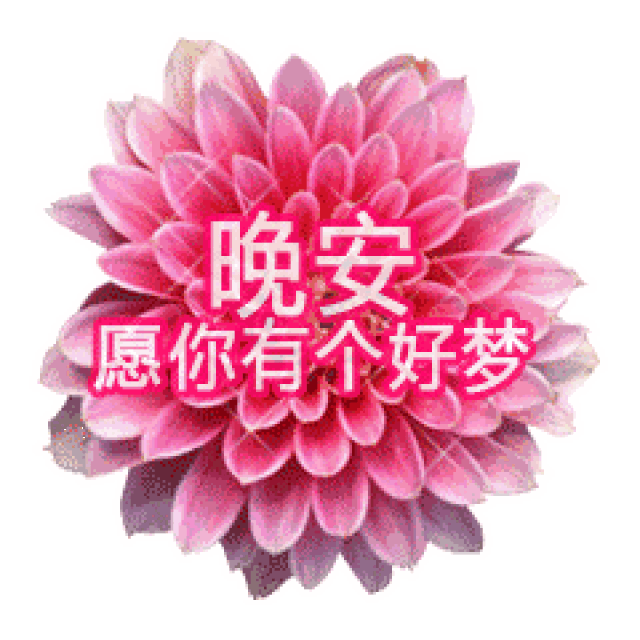 2018年最新版晚上好问候语图片