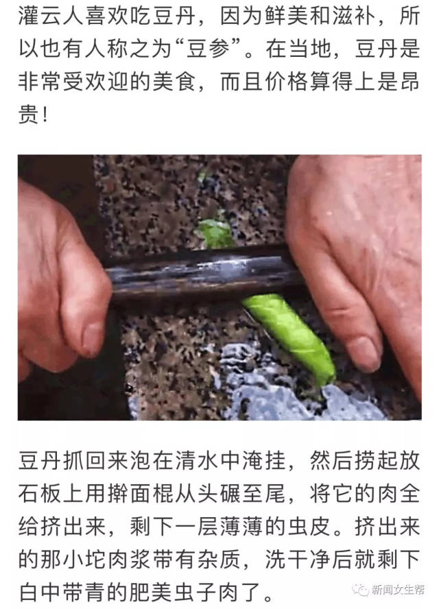 【连天下】江苏灌云传统美食"豆丹" 用虫子打造的城市名片