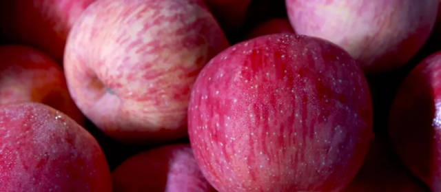 苹果能不能带皮吃 08d06c80231b4031b4a9841512722d31.jpeg