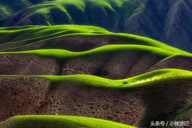 伊犁—阔克苏大峡谷,蜿蜒而过美成了一幅画,美人腰的草原风光