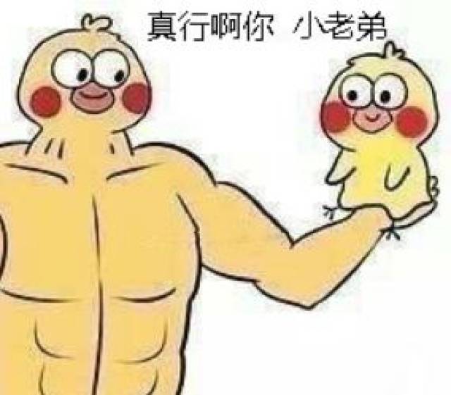 e句话看天下丨竹鼠也红成表情包了!你会吃么?