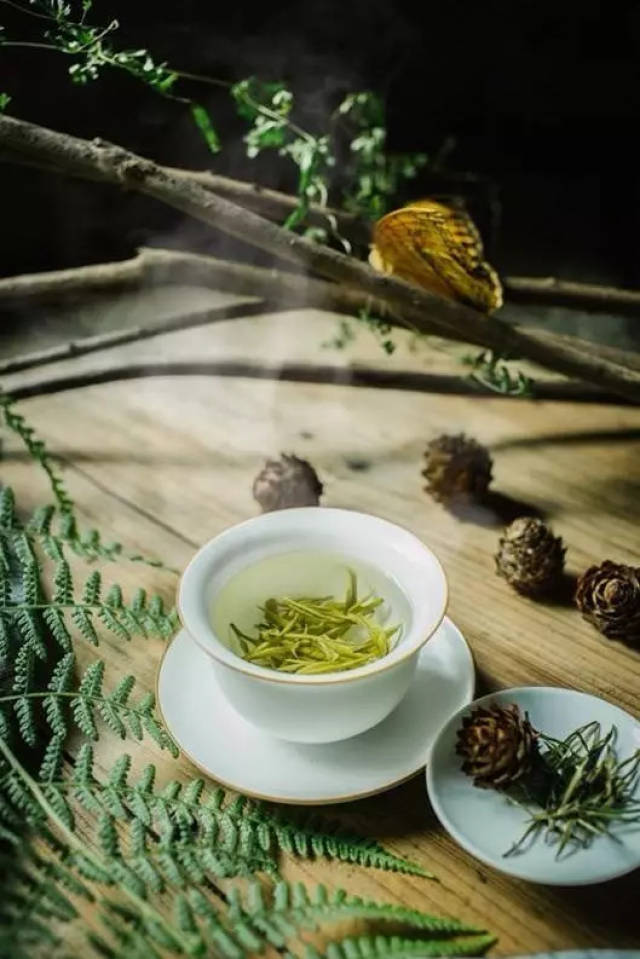清茶 搜狐网
