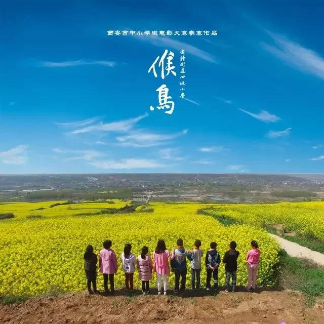 教育| 长安鸣犊首部教育题材微电影《候鸟》