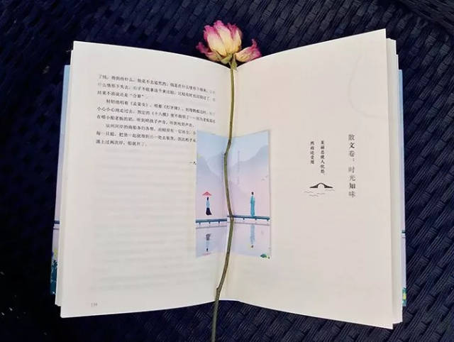 这是一本经典小说×唯美散文×爱情书信.沈从文诞辰115周年纪念版.