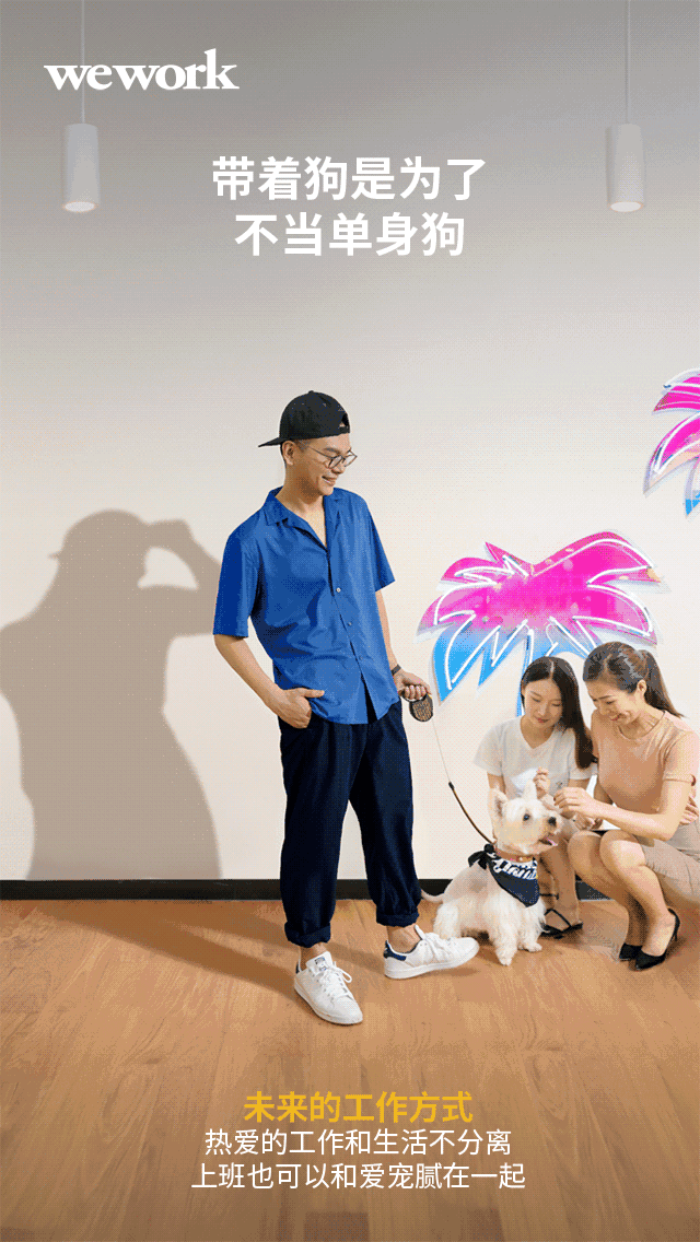 你也能看到一手狗粮投喂,一手忙着ppt的大暖男;你还能看到白天严肃