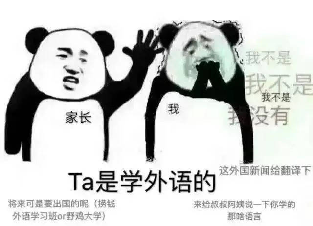 其实设计没有什么压力的 就是头发会秃得快 // 外语专业 //  以下