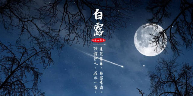 今日白露|露从今夜白,月是故乡明