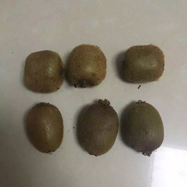 或者是 打了激素的猕猴桃.