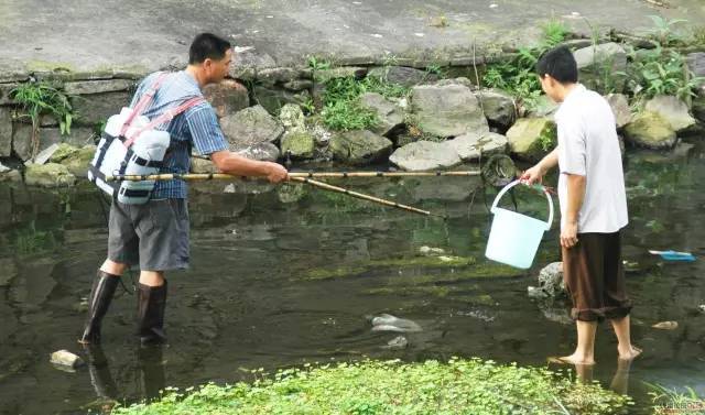 在云阳长江非法电鱼的渔船,内附视频,请谨慎点