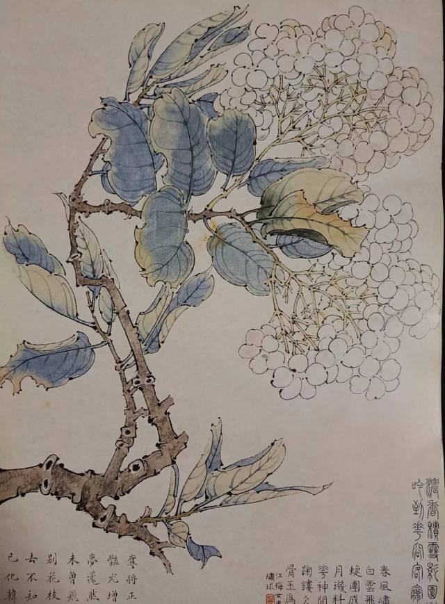 开课|肖艳生宣工笔画视频班v视频(9月29日报名)教程单片机网络原理图片