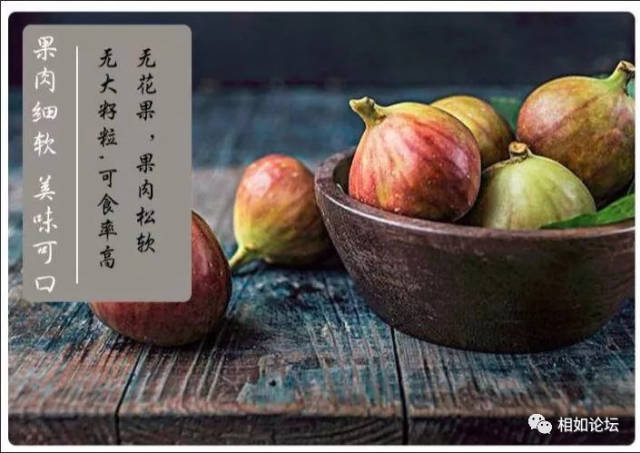周末相约锦屏镇无花果生态农庄,你来吗?