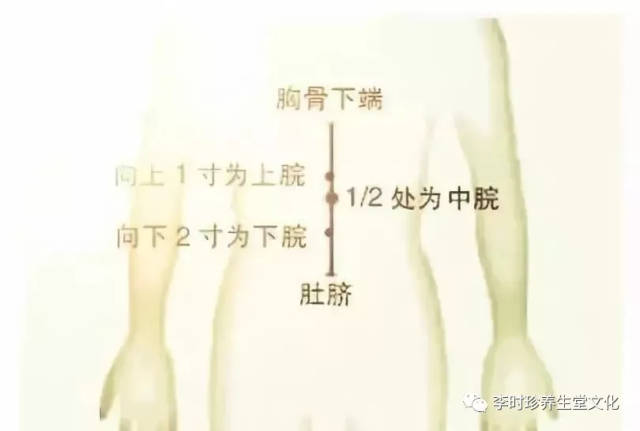 神阙穴:任脉腧穴.