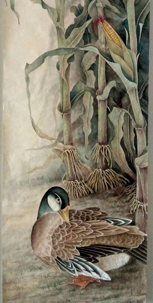 【国画百家】花鸟画精品200副,太美了