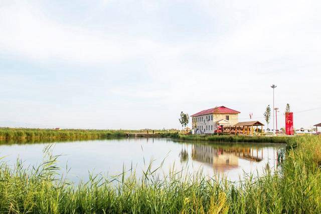 廉政文化进景区——大荔黄河湿地景区自然风貌.