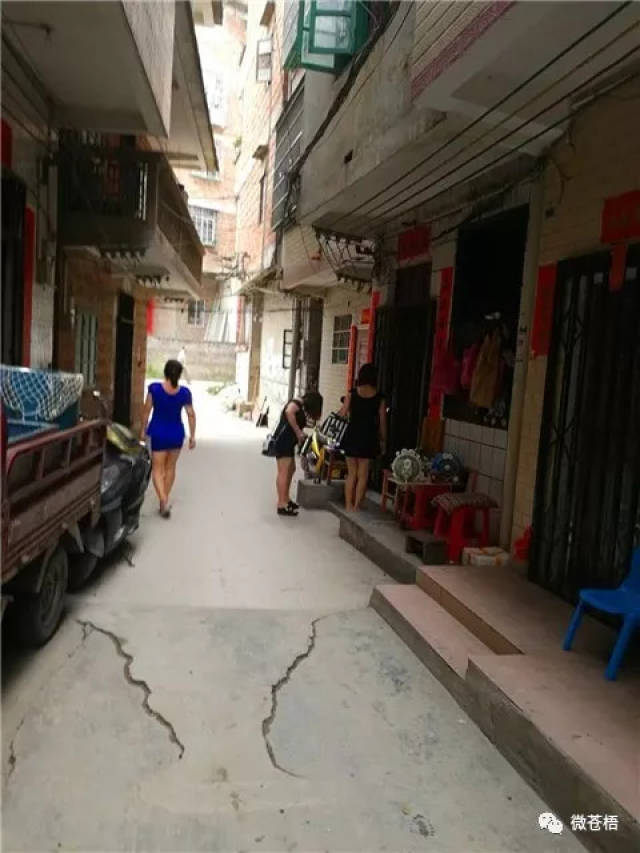 梧州龙圩,黄猄塘红灯区被投诉!微友热议!