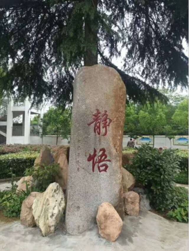 石南中学我的母校