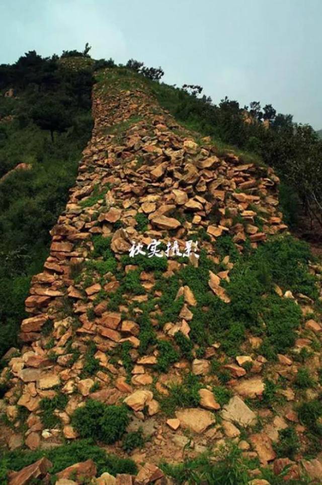章鱼捕食