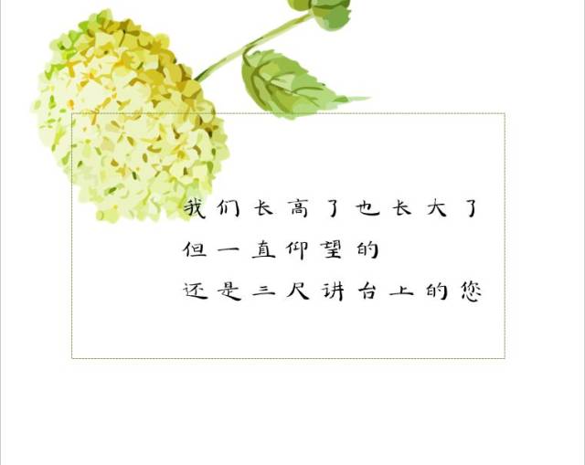 教师节|写给您的三行情书