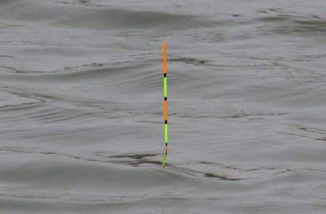 面对4种不同的鱼情,浮漂如何调钓才算正确?看