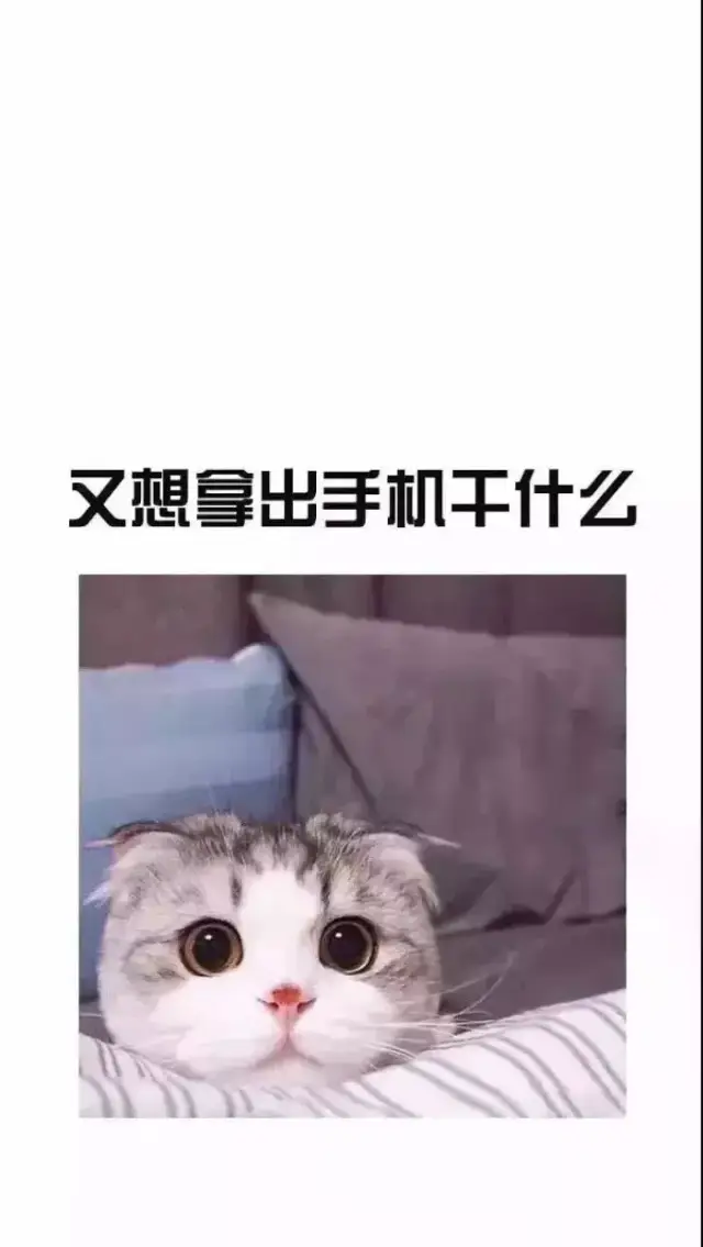 壁纸| 搞笑创意壁纸:一夜暴富不行 那就两夜