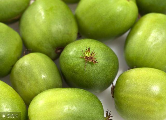这种没毛的猕猴桃,维生素是其他水果的十几倍,你吃过吗?