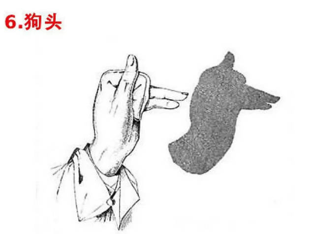 可以用手影的方式给爸爸妈妈演示一下喔!