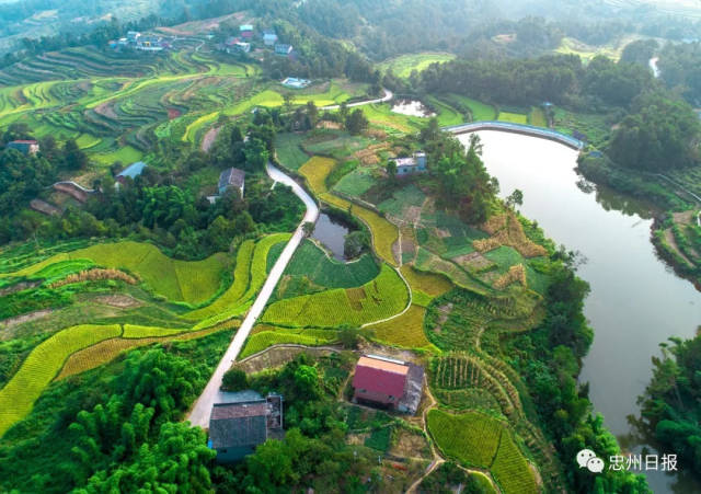 海拔400～800米,东邻井湖,西邻白公街道石马村,南邻忠州街道南溪村