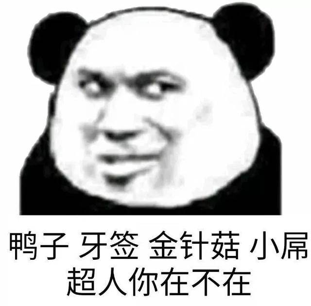 斗图表情包:真羡慕群里的人,睡的跟小猪仔一样