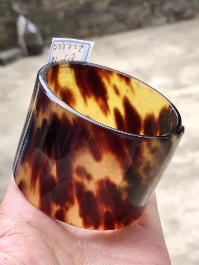 海底里的软黄金,大自然天赐的宝物——玳瑁