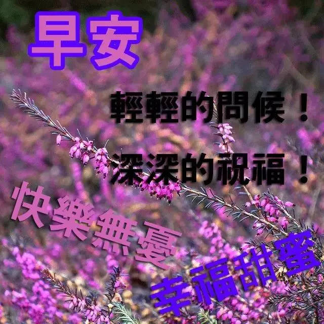 早上好图片动态带字 早上好问候语给朋友