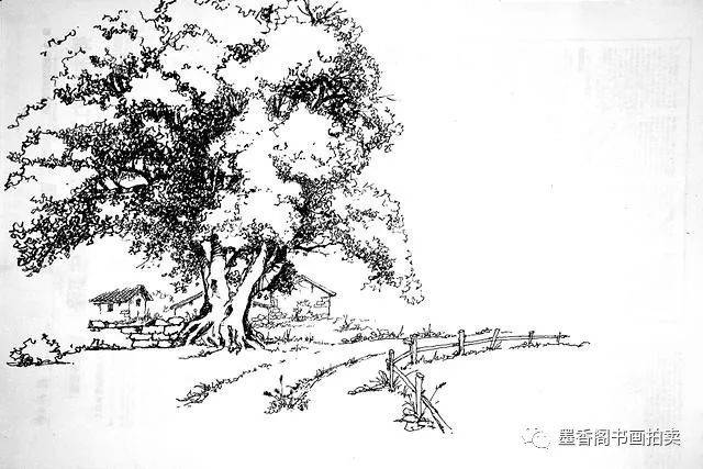 羰д--Ļ