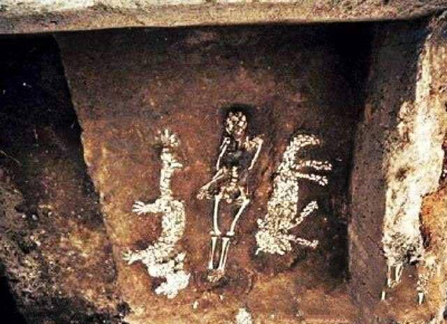 七千年前古墓出土证明:龙远古时存在过