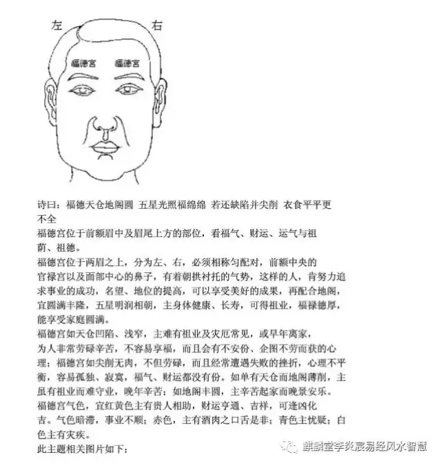 面相真人图解7