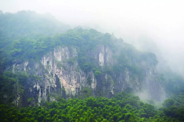 贵溪阳际峰深山巨型石壁上惊现神秘"天书"