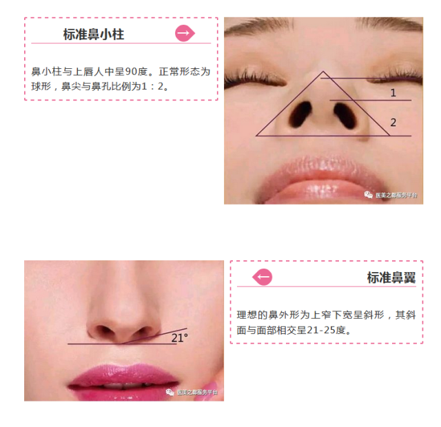 长度 宽度 高度 鼻头大小 鼻孔形状 鼻小柱形状等